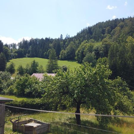 Ferienhaus Oma Hase Villa Mürzzuschlag Esterno foto