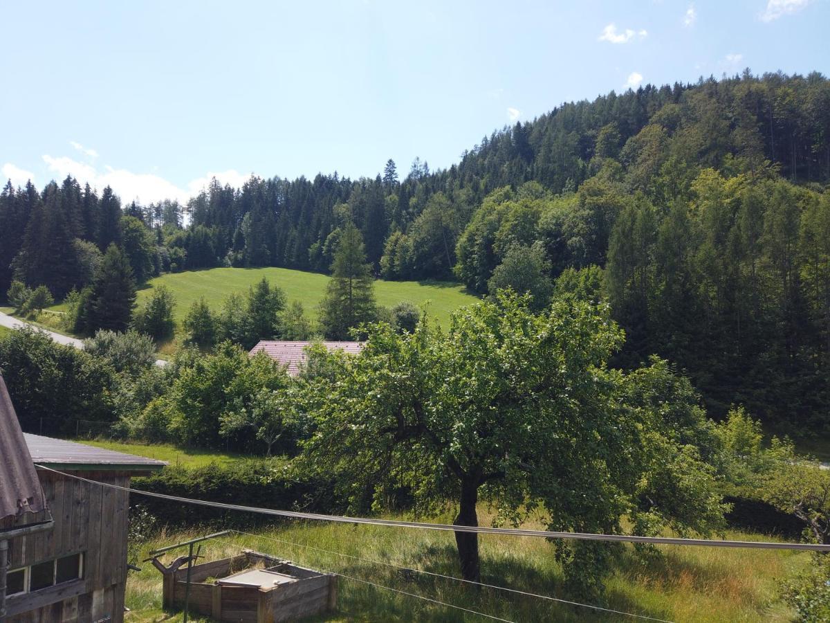 Ferienhaus Oma Hase Villa Mürzzuschlag Esterno foto